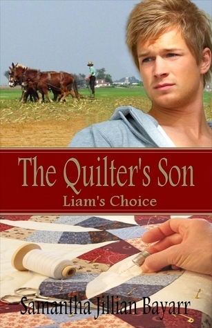 The Quilter's Son book cover 1