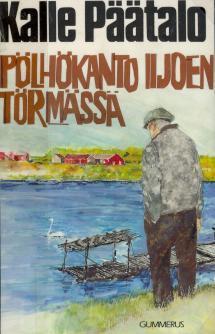 Pölhökanto Iijoen törmässä