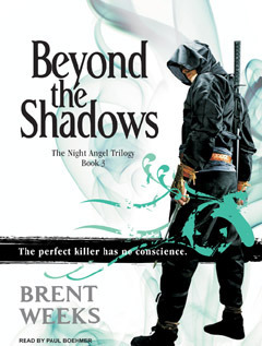 Beyond the Shadows (Night Angel, #3)