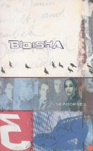 Seahorses book cover