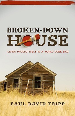 Broken-Down House book cover