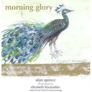 Morning Glory book cover