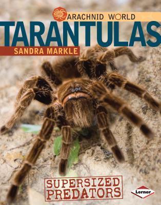 Tarantulas: Supersized Predators (Arachnid World) by Sandra Markle ...