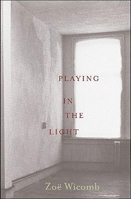Playing in the Light book cover
