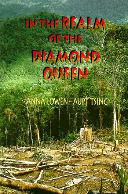 In the Realm of the Diamond Queen book cover
