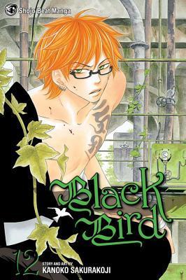 Black Bird, Vol. 12 book cover
