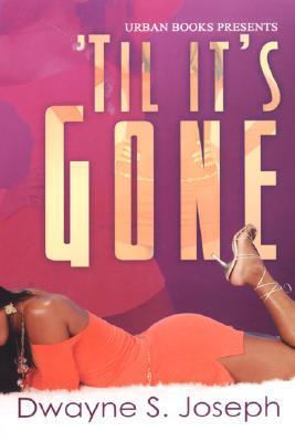 Til It's Gone book cover