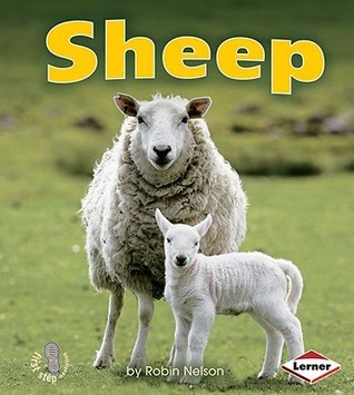 Sheep book cover