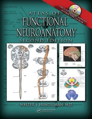 Atlas of Functional Neuroanatomy by Walter J. Hendelman | Goodreads