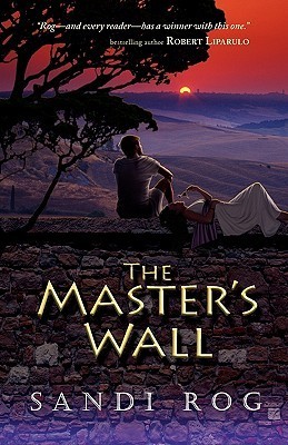 Iron & the Stone book cover 1