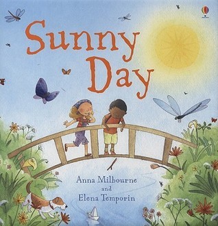 Sunny Day book cover