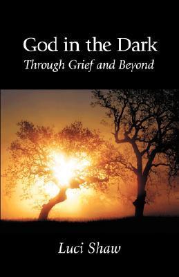 God in the Dark book cover
