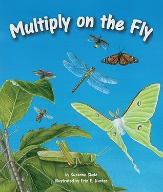 Multiply on the Fly book cover