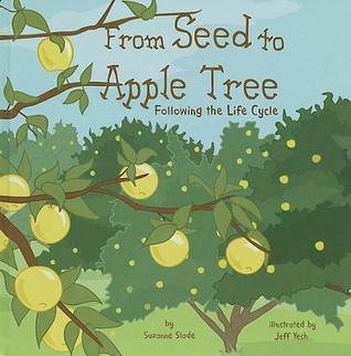 From Seed to Apple Tree: Following the Life Cycle