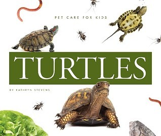 Turtles book cover