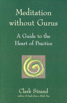 Meditation without Gurus book cover