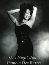 One Night Bands