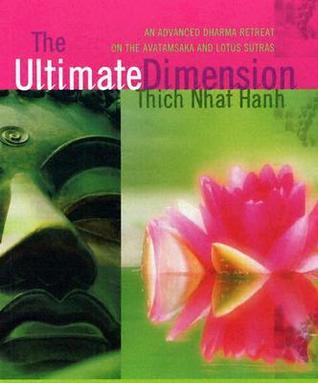 The Ultimate Dimension book cover
