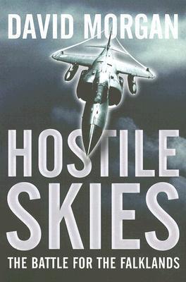Hostile Skies