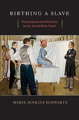 Birthing a Slave: Motherhood and Medicine in the Antebellum South