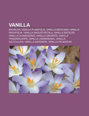 Vanilla Baunilha, Vanilla Planifolia, Vanilla Mexicana, Vanilla