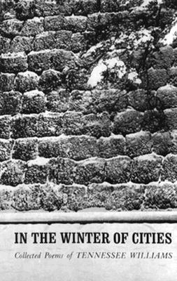 In the Winter of Cities book cover