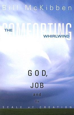 The Comforting Whirlwind book cover