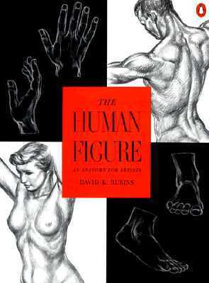 The Human Figure: An Anatomy for Artists by David K. Rubins | Goodreads
