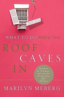 What to Do When the Roof Caves In book cover