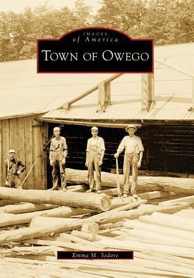 Town of Owego book cover
