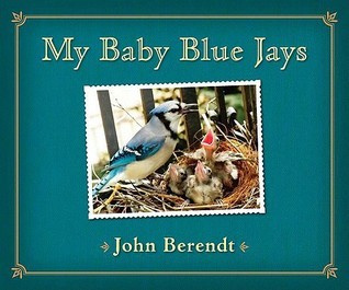 My Baby Blue Jays book cover