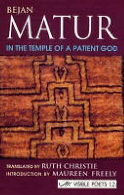 In the Temple of a Patient God book cover