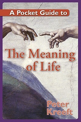 A Pocket Guide to The Meaning of Life book cover