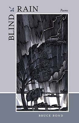 Blind Rain book cover