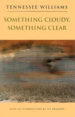 Something Cloudy, Something Clear book cover