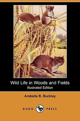 Wild Life in Woods and Fields