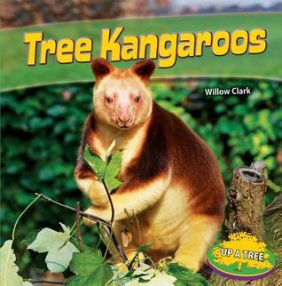 Tree Kangaroos Up A Tree By Willow Clark Goodreads