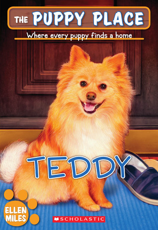 Teddy book cover