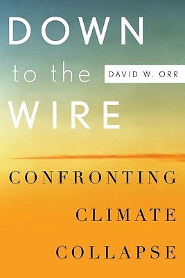 Down to the Wire book cover