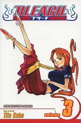Bleach book cover 3