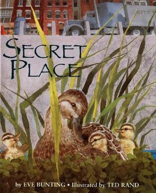 Secret Place book cover