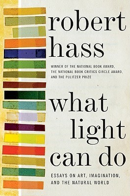 What Light Can Do book cover