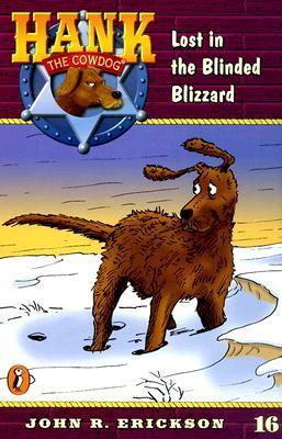 Lost in the Blinded Blizzard book cover