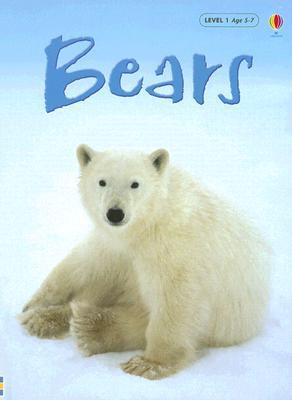 Bears book cover