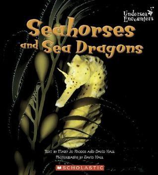 Seahorses And Sea Dragons book cover