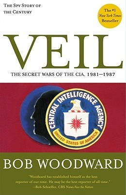 Veil book cover