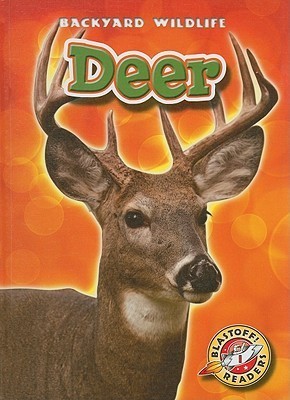 Deer book cover