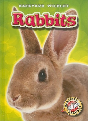 Rabbits book cover