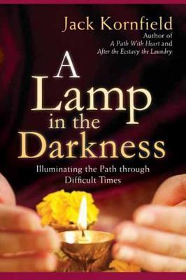 A Lamp in the Darkness book cover