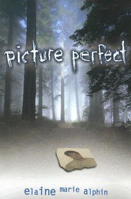 Picture Perfect